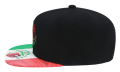 Branded Flag 2 Tone Snapback Cap "Mexican Flag - Black / Green" 6HSSTD17412 MNNBKGN