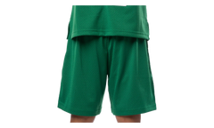 NBA Swingman Road Shorts "1994-95 Seattle SuperSonics - Dark Green" SMSHGS18252 SSUDKGN94