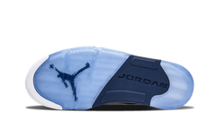 5 Retro Low "DUNK FROM ABOVE"