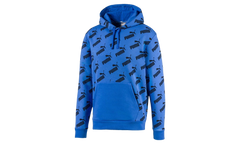 Amplified Fleece Hoodie "Palace Blue" 597247 41