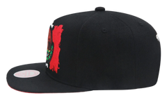 Branded Eagle Snapback Cap "Mexican Flag - Black" 6HSSTD17413 MNNBLCK