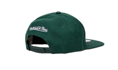 NBA Team Ground 2.0 Snapback Cap "Milwaukee Bucks - Green" HHSS3256 MBUYYPPPGREN