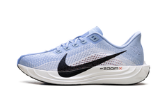 Pegasus Plus WMNS"Aluminum/Black-Royal Pulse" FQ7261 402